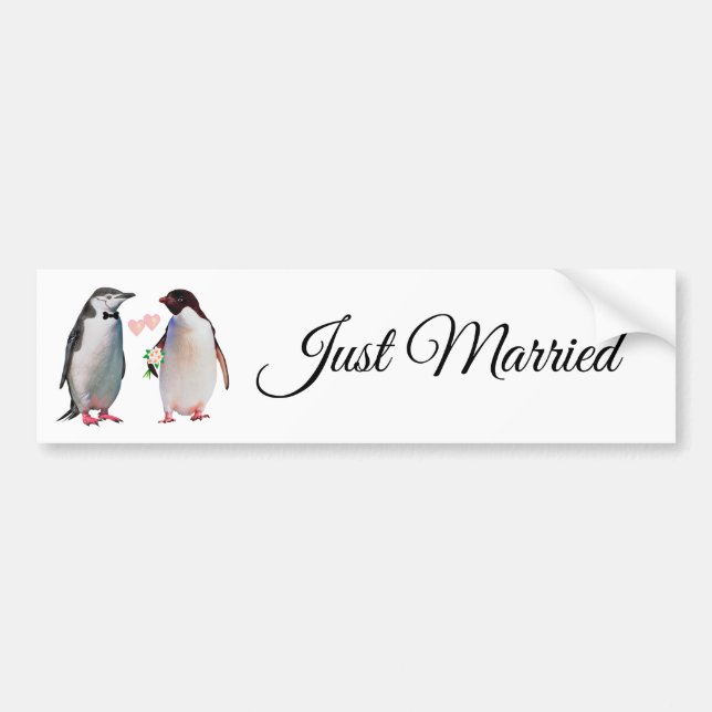 Niedlicher Pinguin Couple Just Eried Autoaufkleber (Vorne)