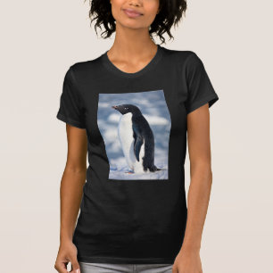 Niedlicher Pinguin Schöne farbenfrohe Tiere T-Shirt
