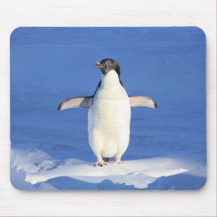 Niedlicher Pinguin Stehend am Eis Mousepad