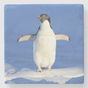 Niedlicher Pinguin Stehend am Eis Steinuntersetzer