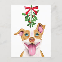 Niedlicher Pitbull Dog und Mistletoweihnachtsfest