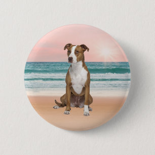 Niedlicher Pitbull Hund sitzend am Strand mit Sonn Button