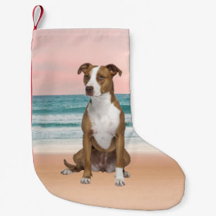 Niedlicher Pitbull Hund sitzend am Strand mit Sonn Kleiner Weihnachtsstrumpf