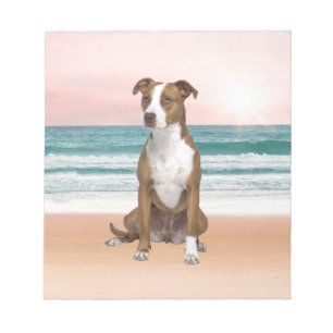 Niedlicher Pitbull Hund sitzend am Strand mit Sonn Notizblock