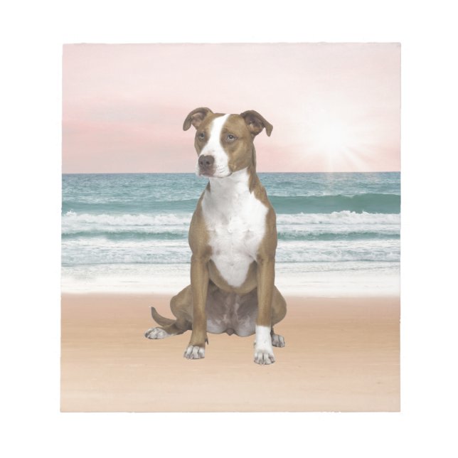 Niedlicher Pitbull Hund sitzend am Strand mit Sonn Notizblock (Vorderseite)