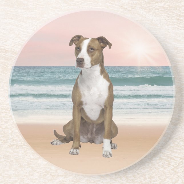 Niedlicher Pitbull Hund sitzend am Strand mit Sonn Sandstein Untersetzer (Vorne)