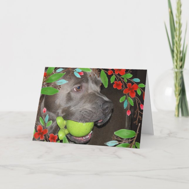 Niedlicher Pitbull Terrier mit roter Blume Karte (Vorderseite)