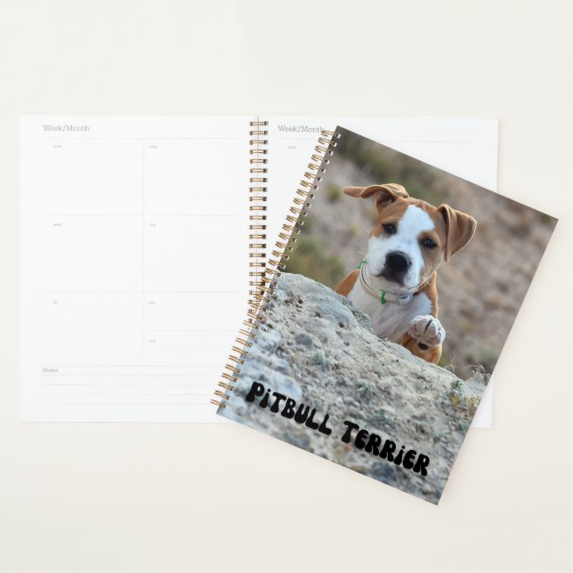 Niedlicher Pitbull Terrier Welpenkalender Planer (Anzeige)