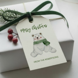Niedlicher Polarbär mit grünem Scarf Weihnachten Geschenkanhänger