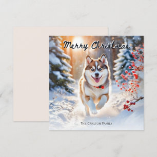 Niedlicher Pomsky Hund im Schnee Winter frohe Weih Feiertagskarte