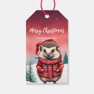 Niedlicher porcupine Igel Weihnachten Party Kind Geschenkanhänger