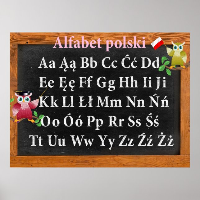 Niedlicher Professor Owl Polish Alphabet Alfabet p Poster (Vorne)