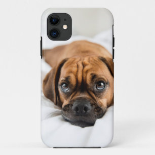 Niedlicher Puggle Hundefall Case-Mate iPhone Hülle