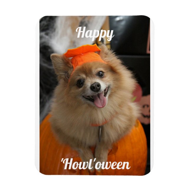 Niedlicher Pumpkin Dog Foto Magnet (Vertikal)