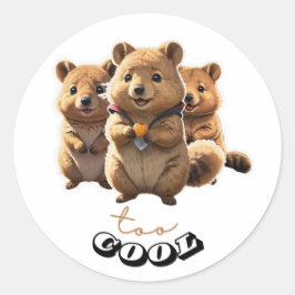 Niedlicher Quokka-Aufkleber Runder Aufkleber