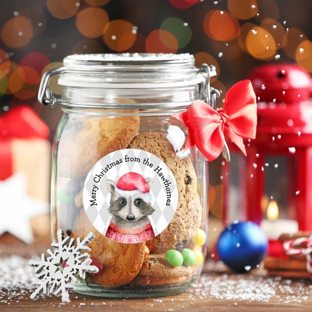 Niedlicher Raccoon in der Roten Weihnachtsmannmütz Runder Aufkleber (Von Creator hochgeladen)