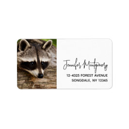 Niedlicher Raccoon-Ruhen auf einem Protokoll Adressaufkleber