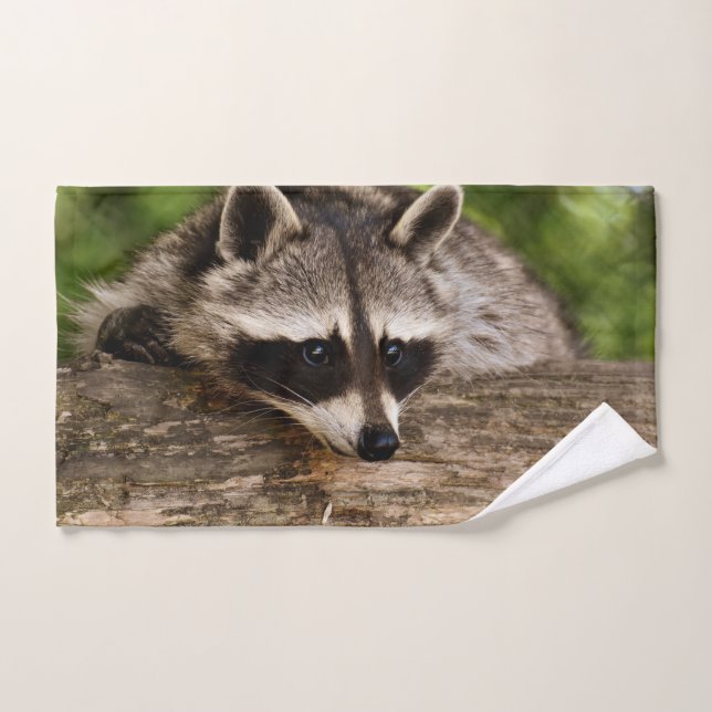 Niedlicher Raccoon-Ruhen auf einem Protokoll Badhandtuch Set (Handtuch)