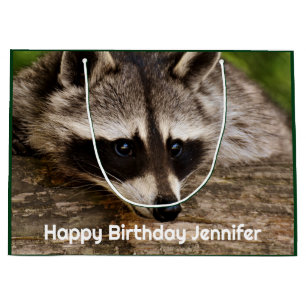 Niedlicher Raccoon-Ruhen auf einem Protokoll Große Geschenktüte