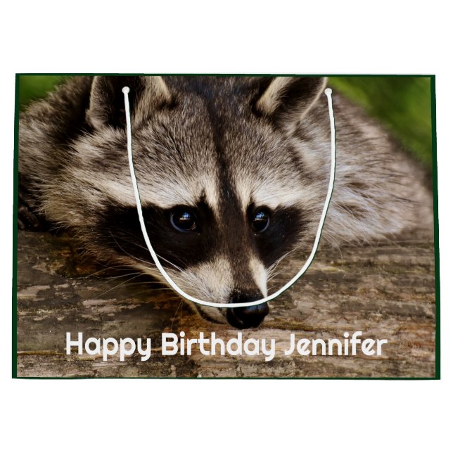 Niedlicher Raccoon-Ruhen auf einem Protokoll Große Geschenktüte (Vorderseite)