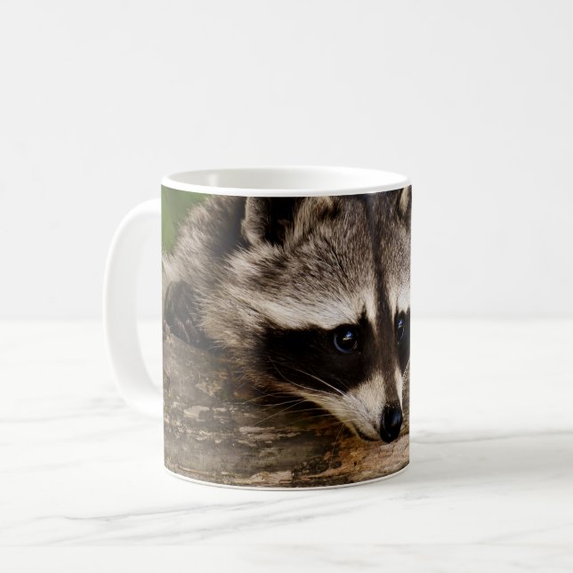 Niedlicher Raccoon-Ruhen auf einem Protokoll Kaffeetasse (Vorderseite Links)