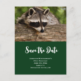 Niedlicher Raccoon-Ruhen auf einem Protokoll Save  Einladungspostkarte