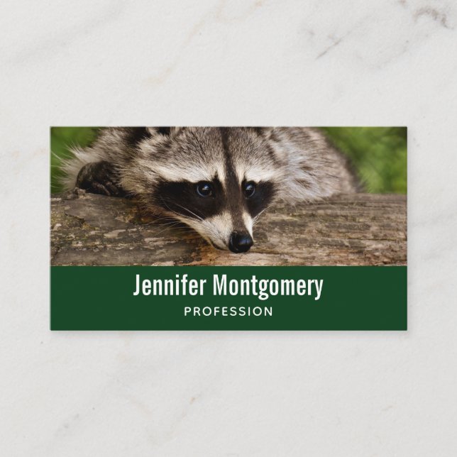 Niedlicher Raccoon-Ruhen auf einem Protokoll Visitenkarte (Vorderseite)