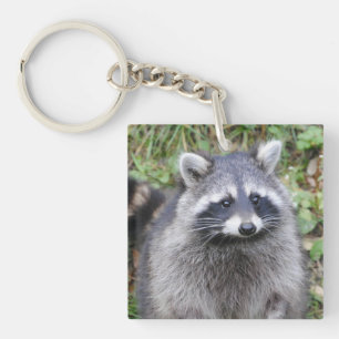 Niedlicher Raccoon Schlüsselanhänger