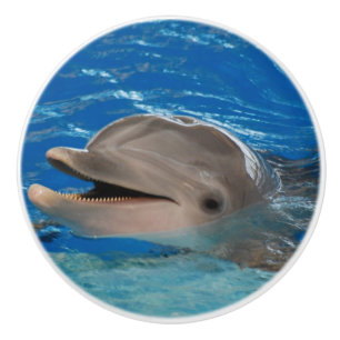 Niedlicher Ratterndelphin Keramikknauf