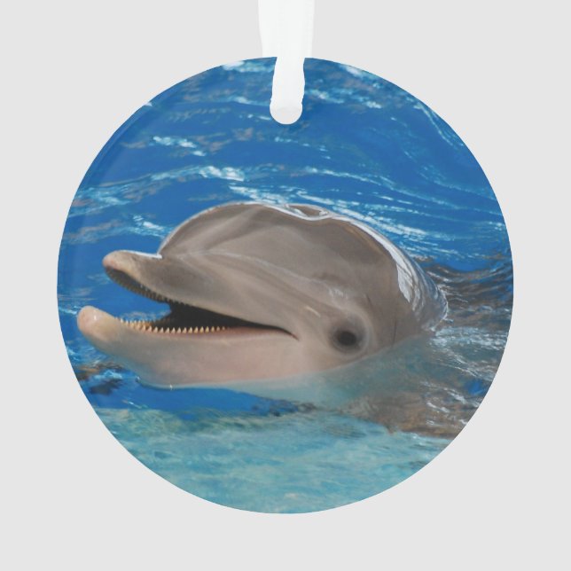 Niedlicher Ratterndelphin Ornament (Rückseite)