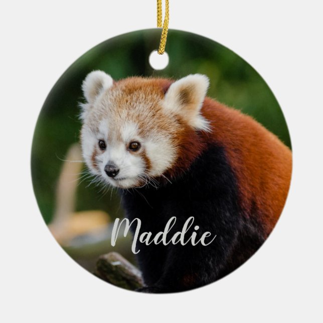 Niedlicher Red Panda Fire Fox Personalisiert Keramik Ornament (Vorne)