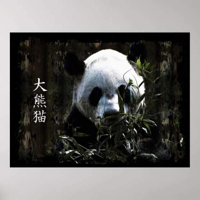 Niedlicher Riesenbär mit leckeren Bambus-Blätter Poster (Vorne)