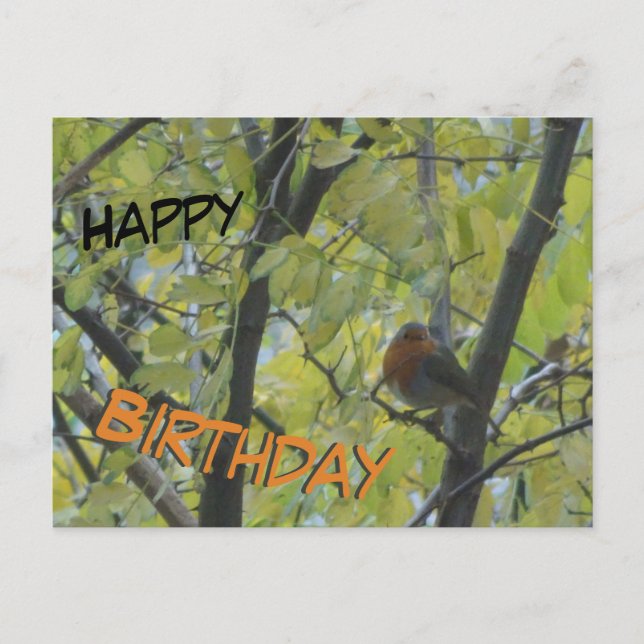 Niedlicher Robin in Tree Happy Birthday Postcard Postkarte (Vorderseite)