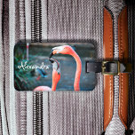 Niedlicher Rosa Flamingo-Foto individuelle Name Gepäckanhänger<br><div class="desc">Wer sagt, dass Flamingos mit ihrem Lieblingspal keinen Spaß haben können? Genießen Sie dieses unterhaltsame Bild, wenn Sie dieses atemberaubende, farbenfrohe Foto personalisierten Namen Gepäck-Tag von zwei rosa Flamingos spielen herum. Ein tolles Geschenk für deinen besten Freund! Geben Sie einfach den Namen Ihrer Wahl ein und Sie können diesen Gepäckanhänger...</div>