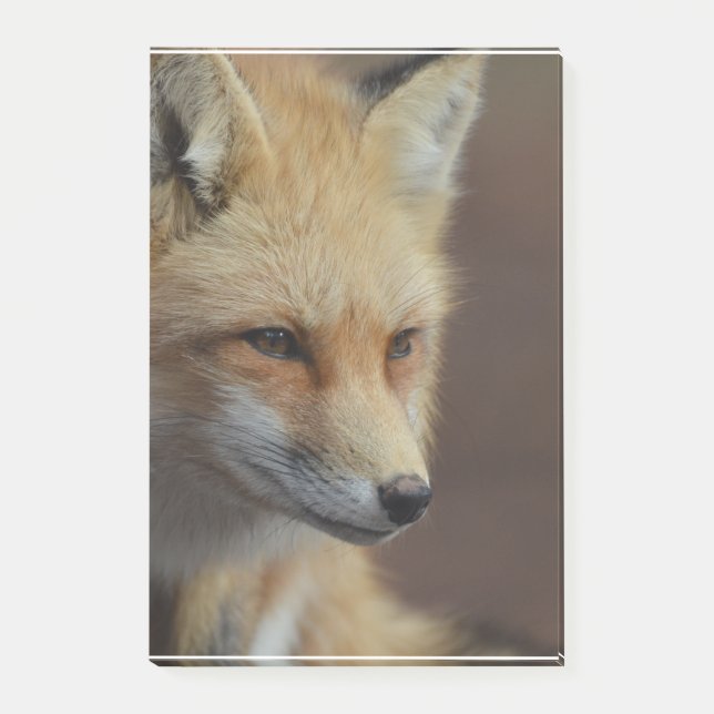 Niedlicher roter Fox Post-it Klebezettel (Vorderseite)