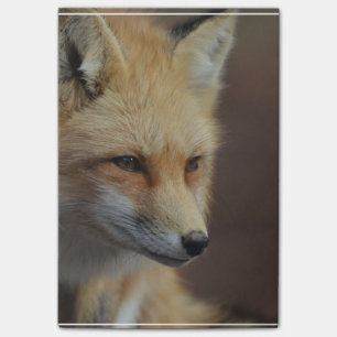 Niedlicher roter Fox Post-it Klebezettel