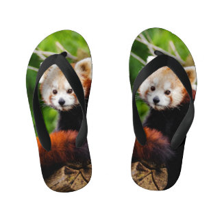 Niedlicher roter Panda-Bär Kinderbadesandalen