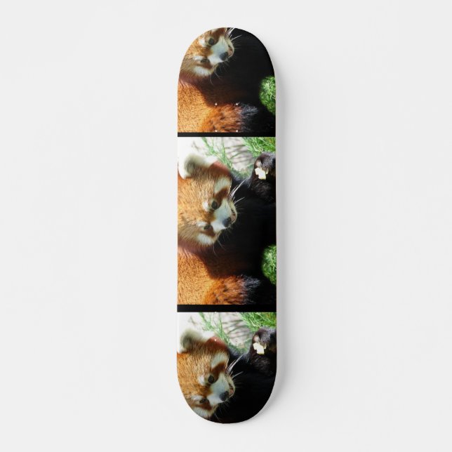 Niedlicher roter Panda-BärSkateboard Skateboard (Vorne)