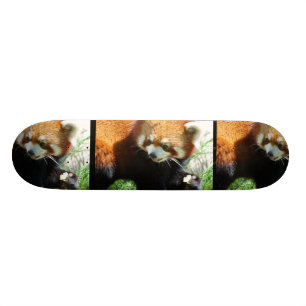 Niedlicher roter Panda-BärSkateboard Skateboard