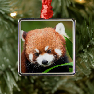Niedlicher Roter Panda Ornament Aus Metall