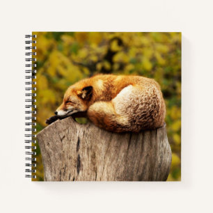 Niedlicher Rotfuchs auf Baumstumpf Notizbuch