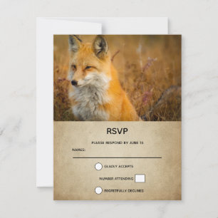 Niedlicher Rotfuchs Wildnis Natur Foto RSVP Karte