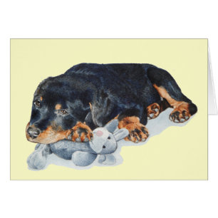 niedlicher rottweiler
