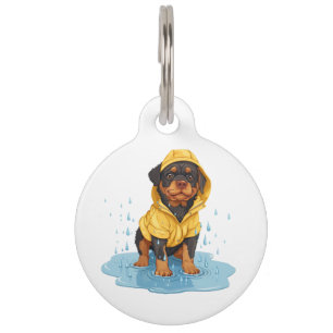 Niedlicher Rottweiler-Hund mit Regenmantel Haustiermarke