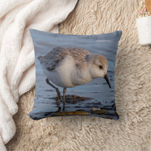 Niedlicher Sandpiper beim Winterwandern Kissen