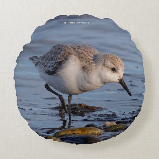 Niedlicher Sandpiper Shorebird am Strand Rundes Kissen (Vorderseite)