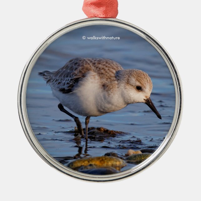 Niedlicher Sandpiper Wandern am Winter Beach Ornament Aus Metall (Vorne)