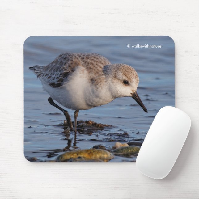 Niedlicher Sandpiper Wandern am Winterstrand Mousepad (Mit Mouse)