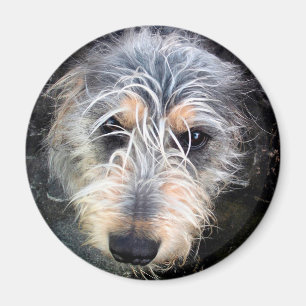 Niedlicher Schädelhund Magnet