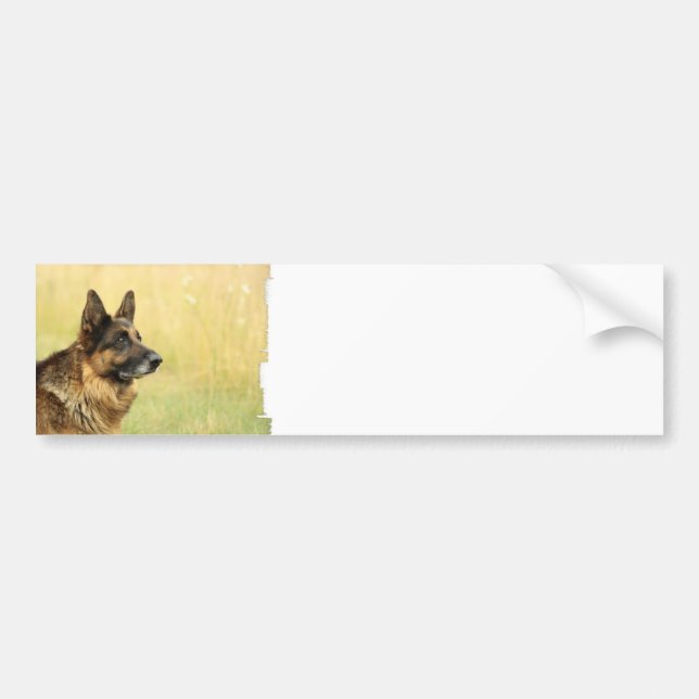 Niedlicher Schäferhund-Autoaufkleber Autoaufkleber (Vorne)